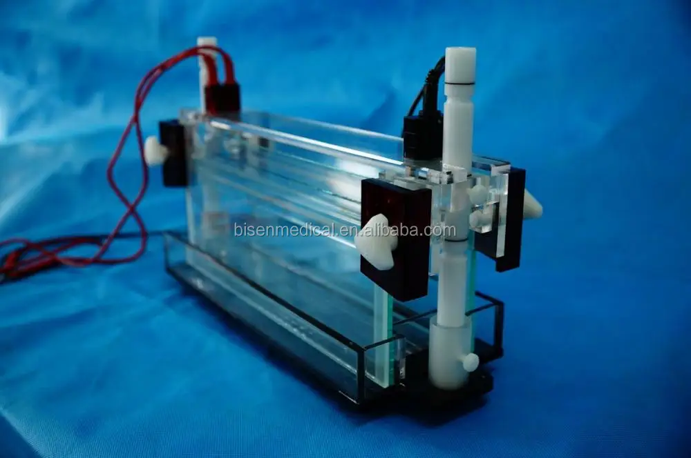 Dna Or Pcr Hemoglobin Electrophoresis Vertical Gel Electrophresis For Western Blotting