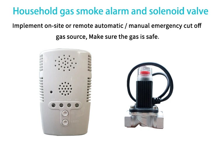 Combustible Gas Leak Alarm Kitchen Cooking Lpg Gas Detector Home Gas Leak Detector Buy