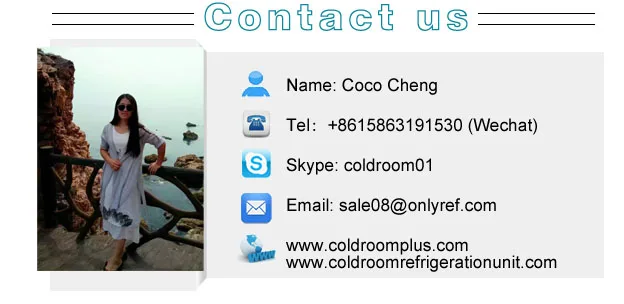 Coco-1