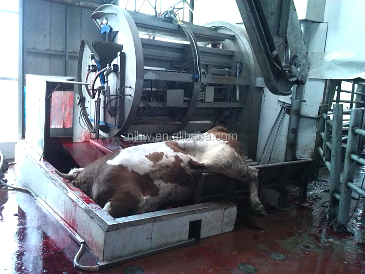 Ritural Halal Kosher Cow Cattle Killing Box Cattle Slaughter Machine