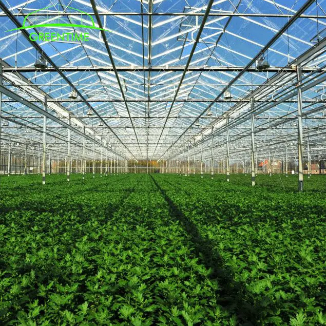 جودة عالية venlo الدفيئة الزجاجية الزراعية الدفيئة لزراعة الخضروات