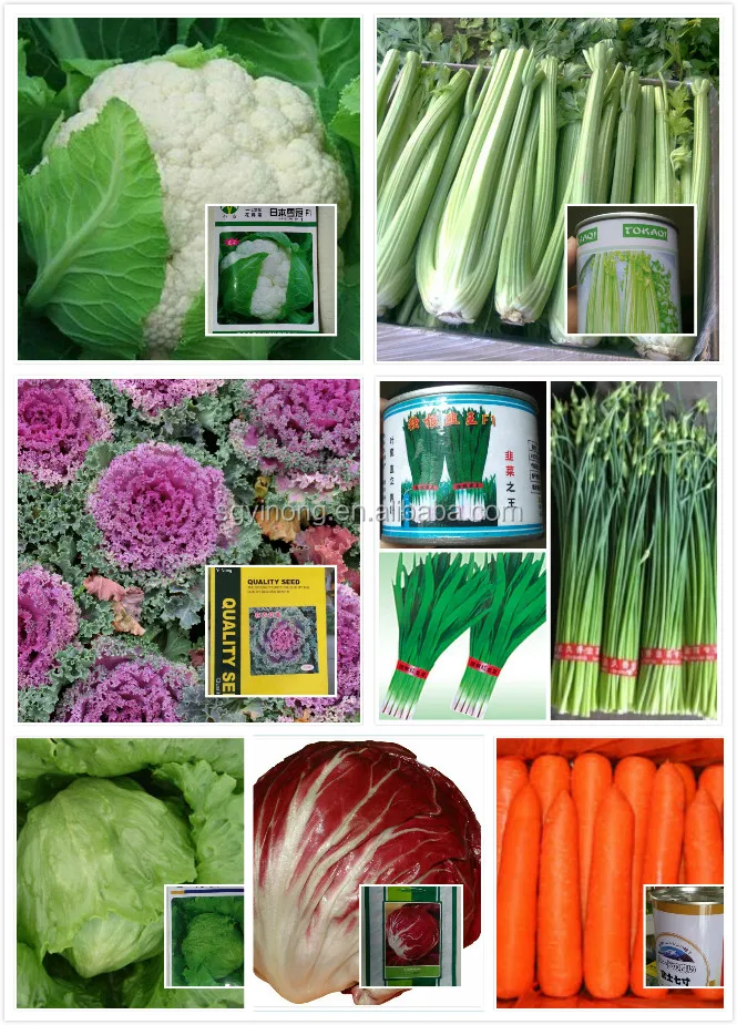 all vegetable seeds.jpg