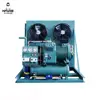 12HP Reciprocating refrigeration piston unit for cooling system