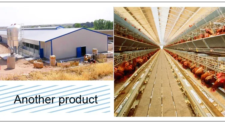 Business plan on poultry farming pdf