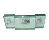 Various Shape Healthy Clear Plastic Poster Frame with Words