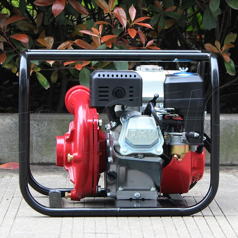 Classic China Water Pumps For Agriculture Irrigation Water Pumps Sale