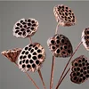 Lotus Pod Dried and Natural with 24'' Wire Stemmed