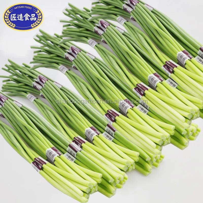Cheap Garlic Moss Buy Garlic Moss Product On Alibaba