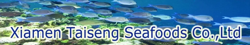 China Frozen Whole Tuna Bonito Fish 300-500g