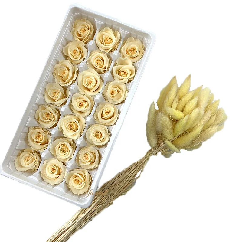 Preserved Real Immortal Roses Preserved Flowers Valentine Day Gift