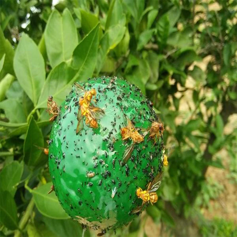 Spherical Sticky Insect Glue Strong Attract Sticky Pheromone Pests ...