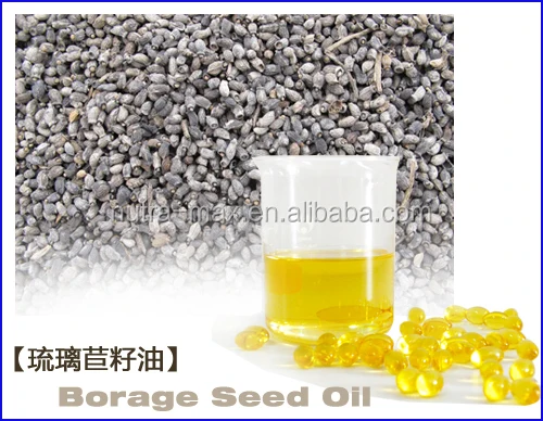 (iso And Gmp)borage Seed Oil/borage Seed Oil Extract