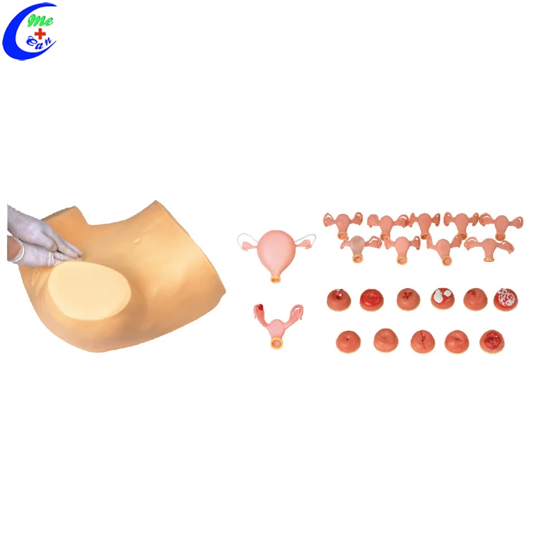 Gyn Examination Simulator.jpg