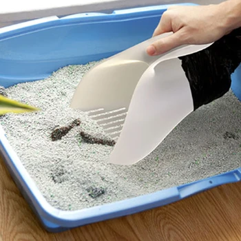 cat toilet sand