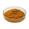 Factory Offer Apple Seed Extract Competitive Price