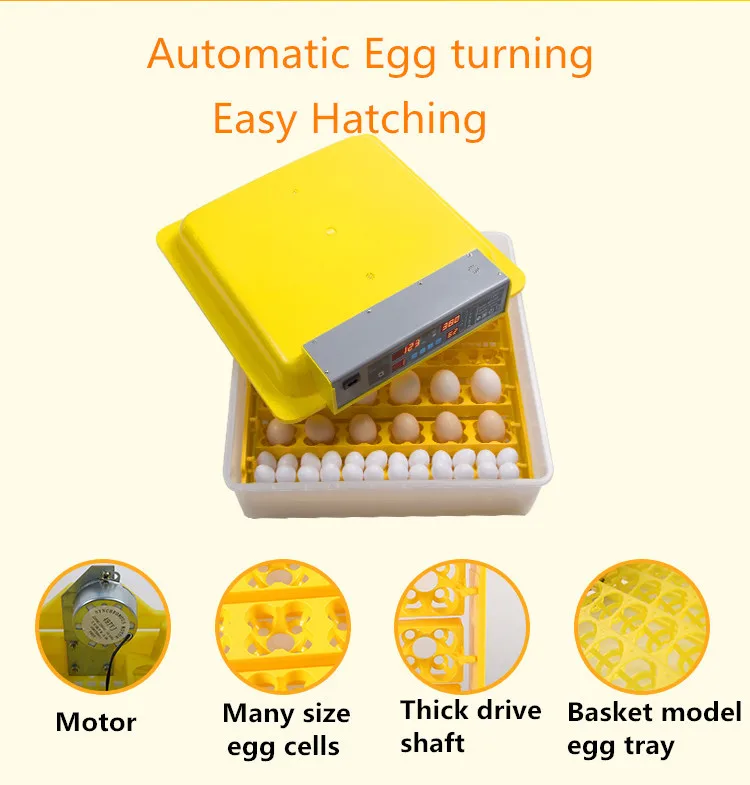 Plywood egg incubator