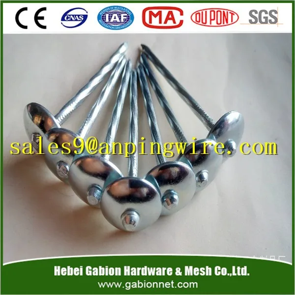 Verzinktem Großen Kopf Nagel Rund Großen Kopf Nägel Blei Kopf Nagel