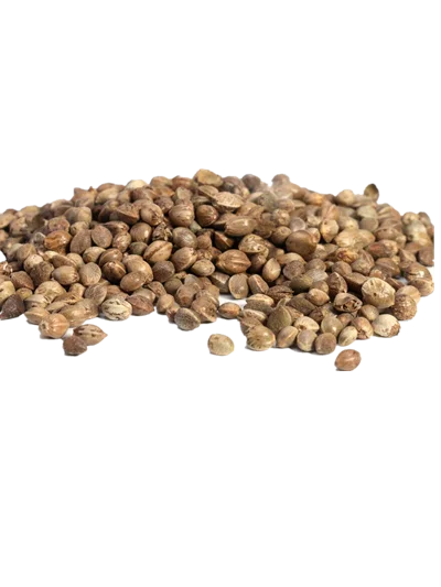 high quality hemp seed hemp protein powder