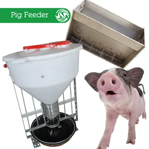Hog Pig Hog Pig Suppliers And Manufacturers At Alibaba Com