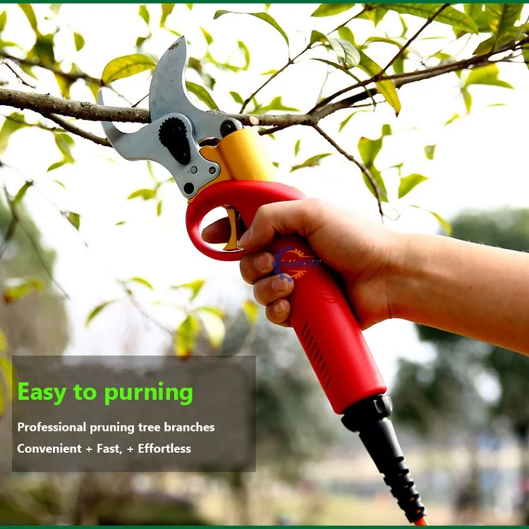 Pruning shear 6.jpg