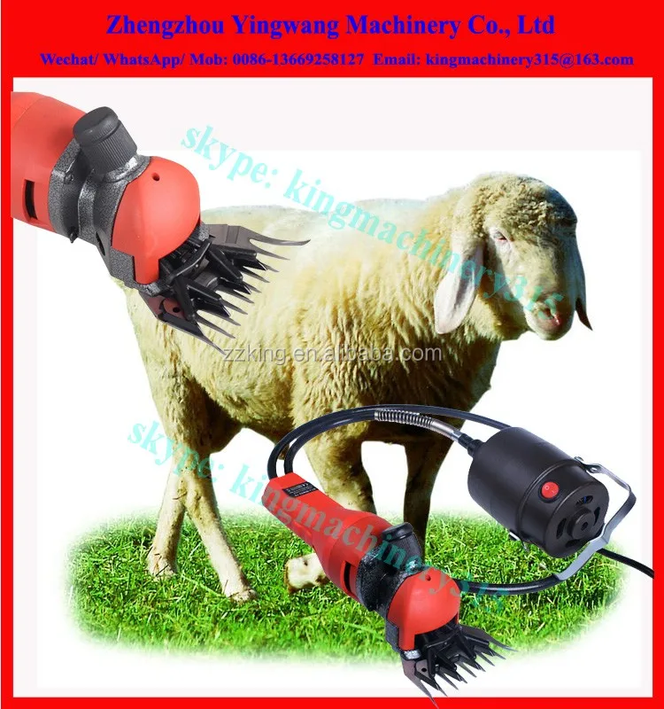 electric sheep shears (3)