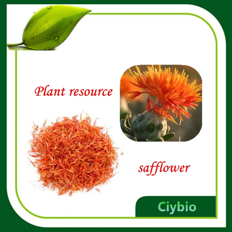 Chinese Herbal Supplements Safflower Seed Oil Powder,Safflower Flower Extract Powder For For