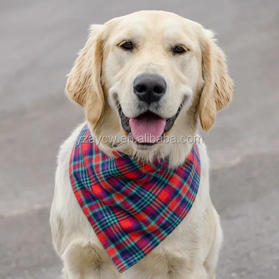 puppy scarf