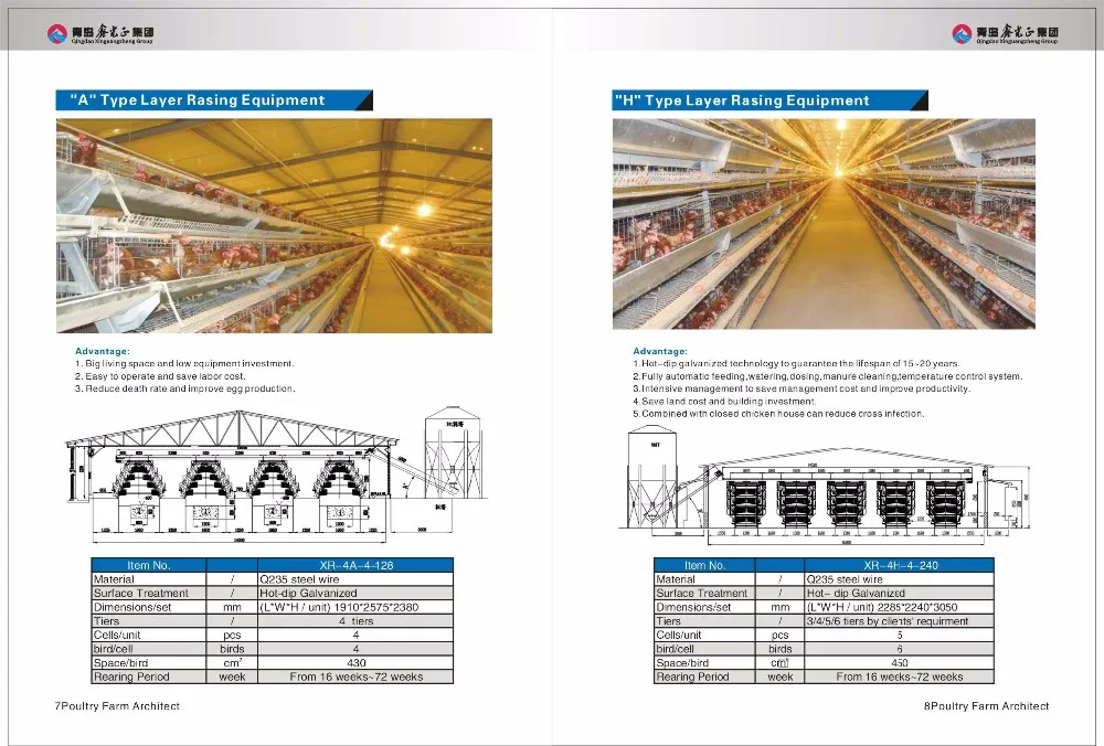 full equipment with low price steel structure Layer and broiler chicken poultry house building manufacturer in China
