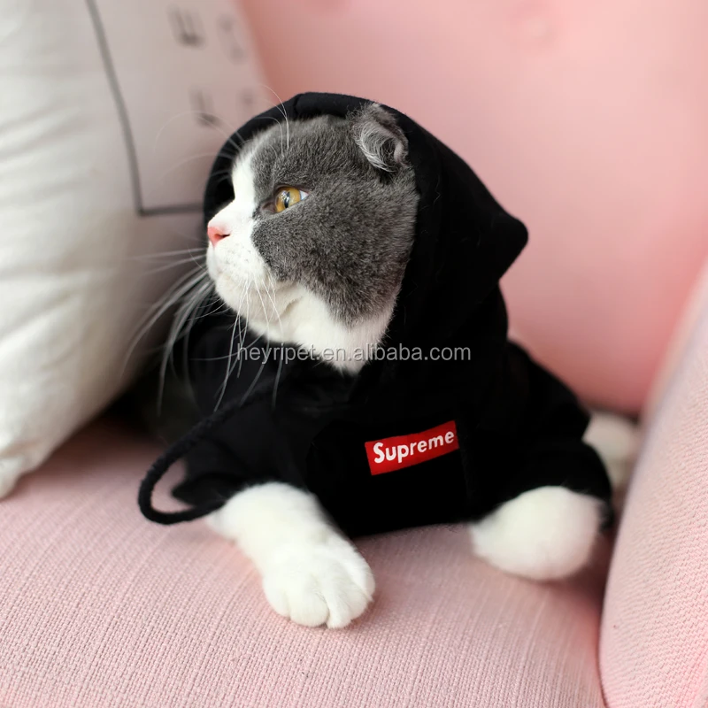 Pakaian Hoodie Anjing Kucing Hewan Peliharaan Katun Murni Keren Mode Harga  Bagus Kualitas Tinggi - Buy Anjing Pakaian Hewan Peliharaan Anjing Hoodie  Hewan Peliharaan Anjing Pakaian Hoodie Product on 