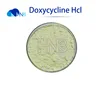 Factory Supply Hot sale veterinary medicines doxycycline powder for horses CAS No 24390-14-5