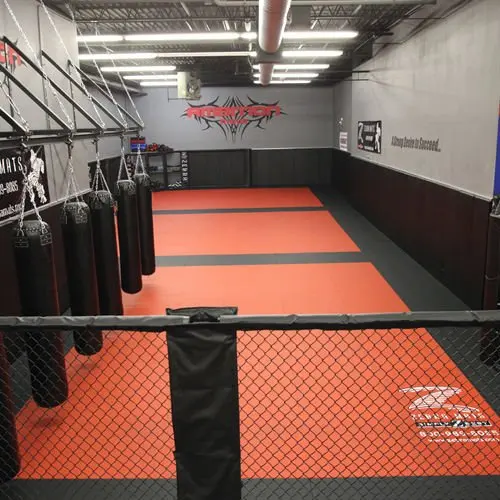 Pro Series Mma Mats Zebra Buy Mma Mats Product On Alibaba