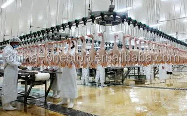 2020 Modern Chicken Slaughterhouse Blucker for Sale