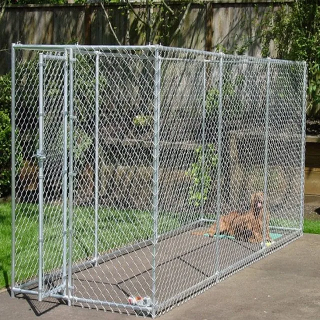 professional dog kennel