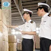 Spain sea LCL transport service from shenzhen guangzhou china