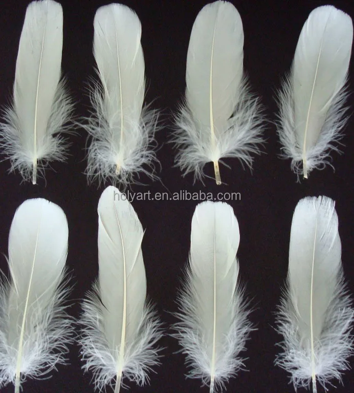 turkey feathers for sale