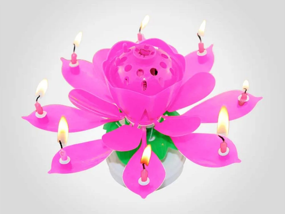 Auto Open Up Birthday Candles/musical Flower Birthday