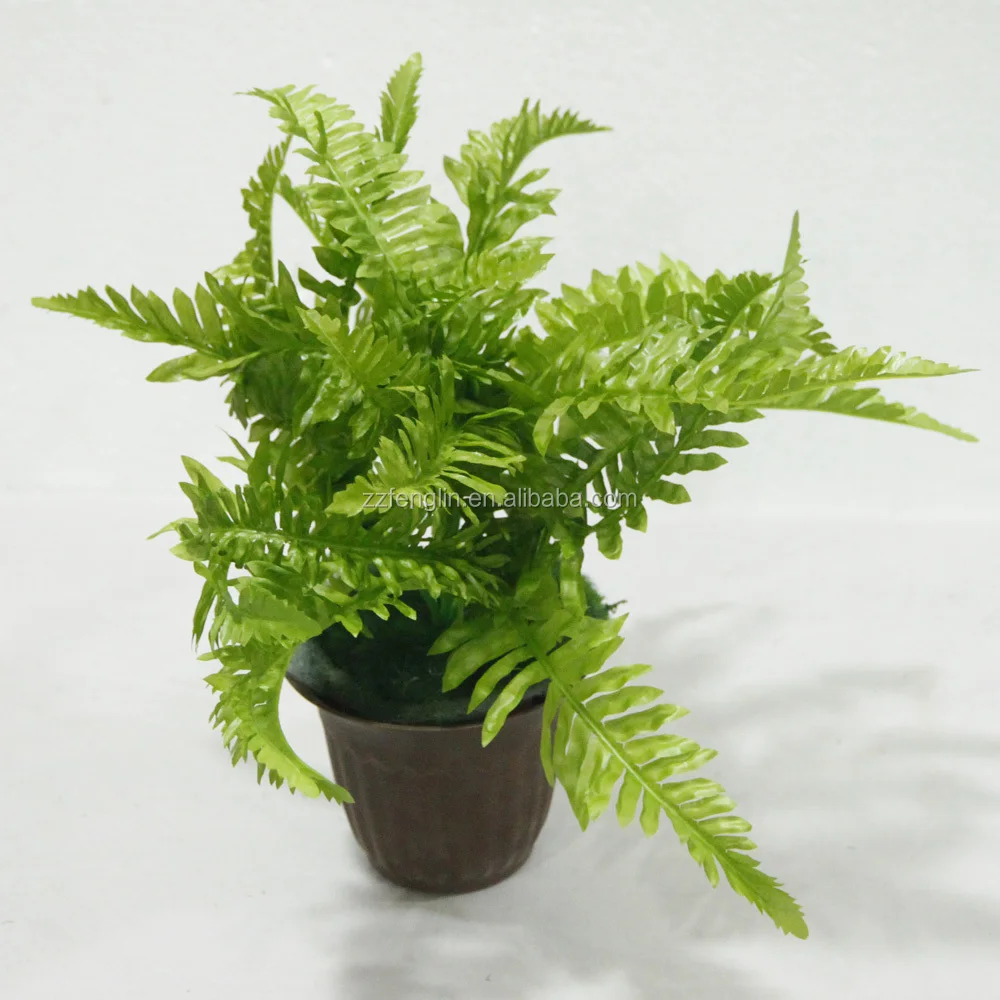 Hot Sale Cheap Mini Artificial Silk Fern Grass Decorative Artificial