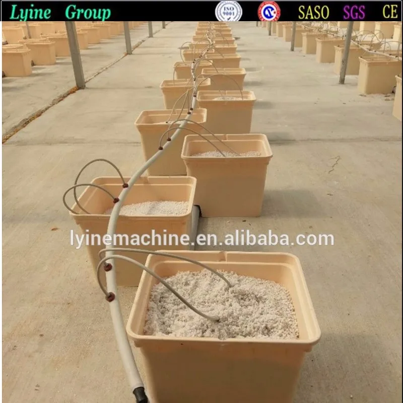 Deep Water Culture dutch bucket hydroponics growing systems.jpg