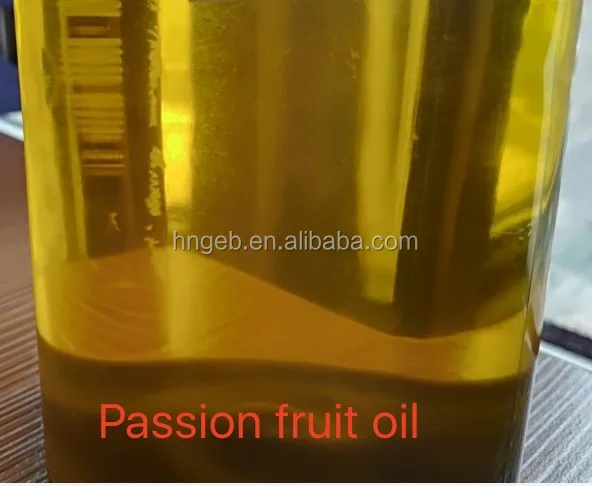 oil press machine Henan GEB 0086 13298166919