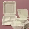 Disposable Round Plate White Compostablebagasse plateeco-friendlybiodegradable tableware3-Compartment Plates