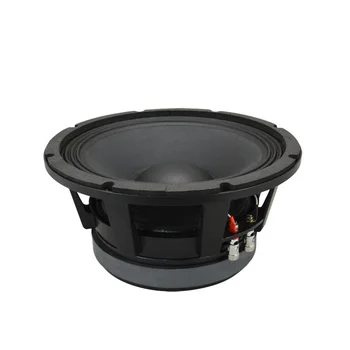 p audio 10 inch speaker