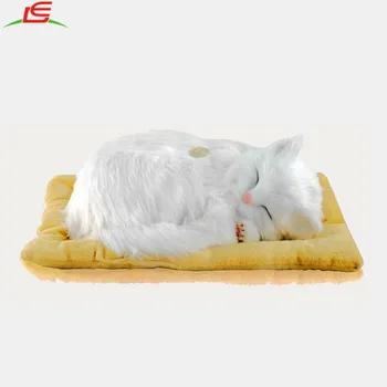 gatito de peluche que se mueve
