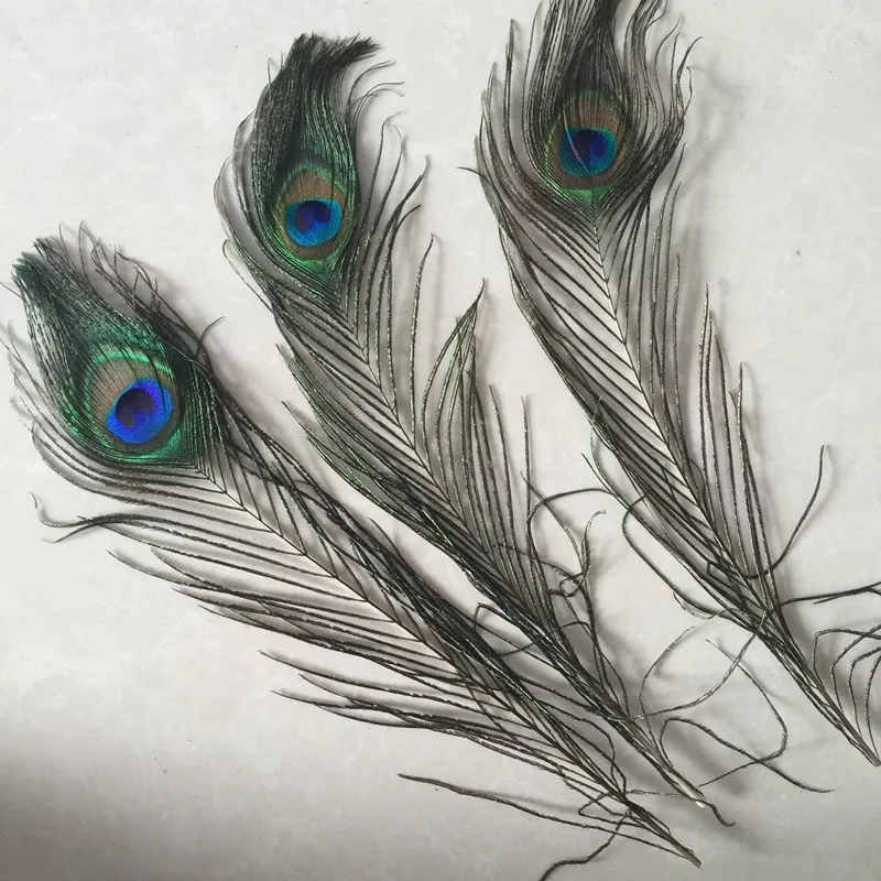 Tail feathers