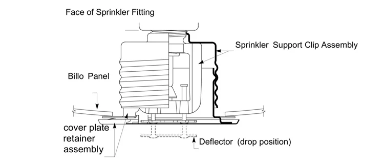 Concealed Fire Sprinkler.jpg