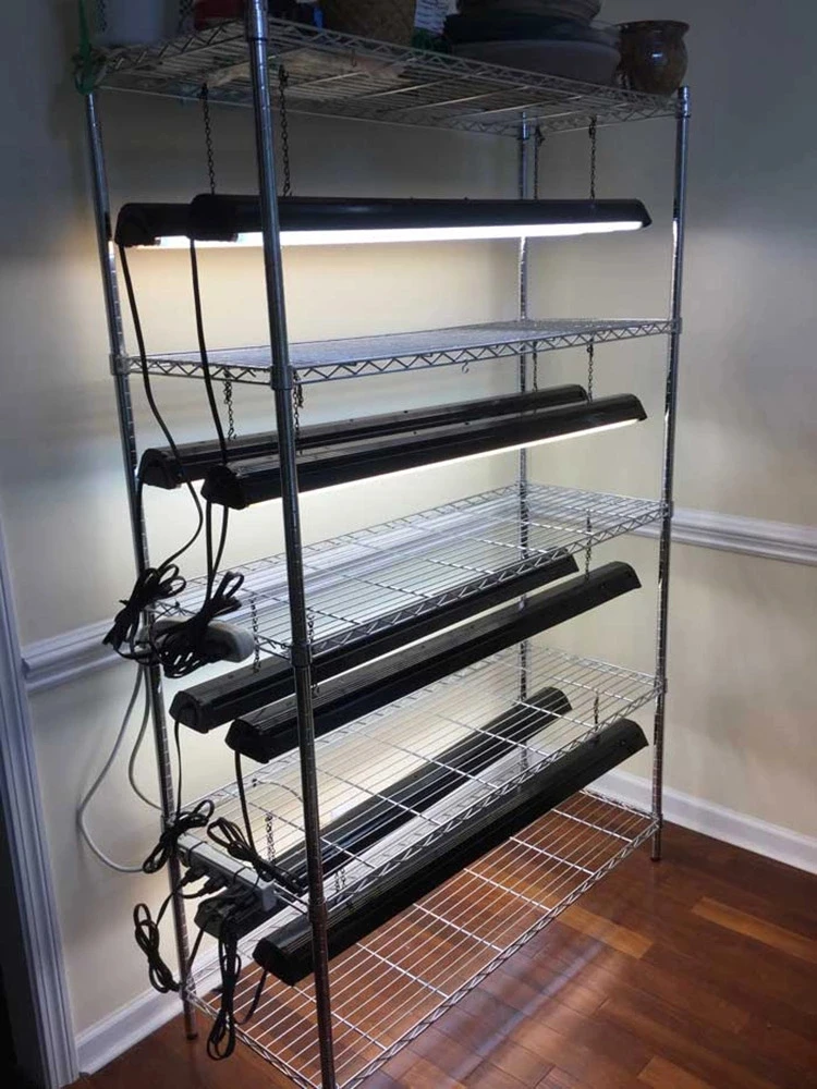 Complete Seedling Hydroponic System With Lights Trays - Buy Skyplant