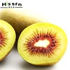 Quality New Crop Organic Freshi Kiwi Fruit