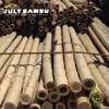 Eco-friendly bamboo construction material 100mm treated natural bamboo poles / raw bamboo poles for building