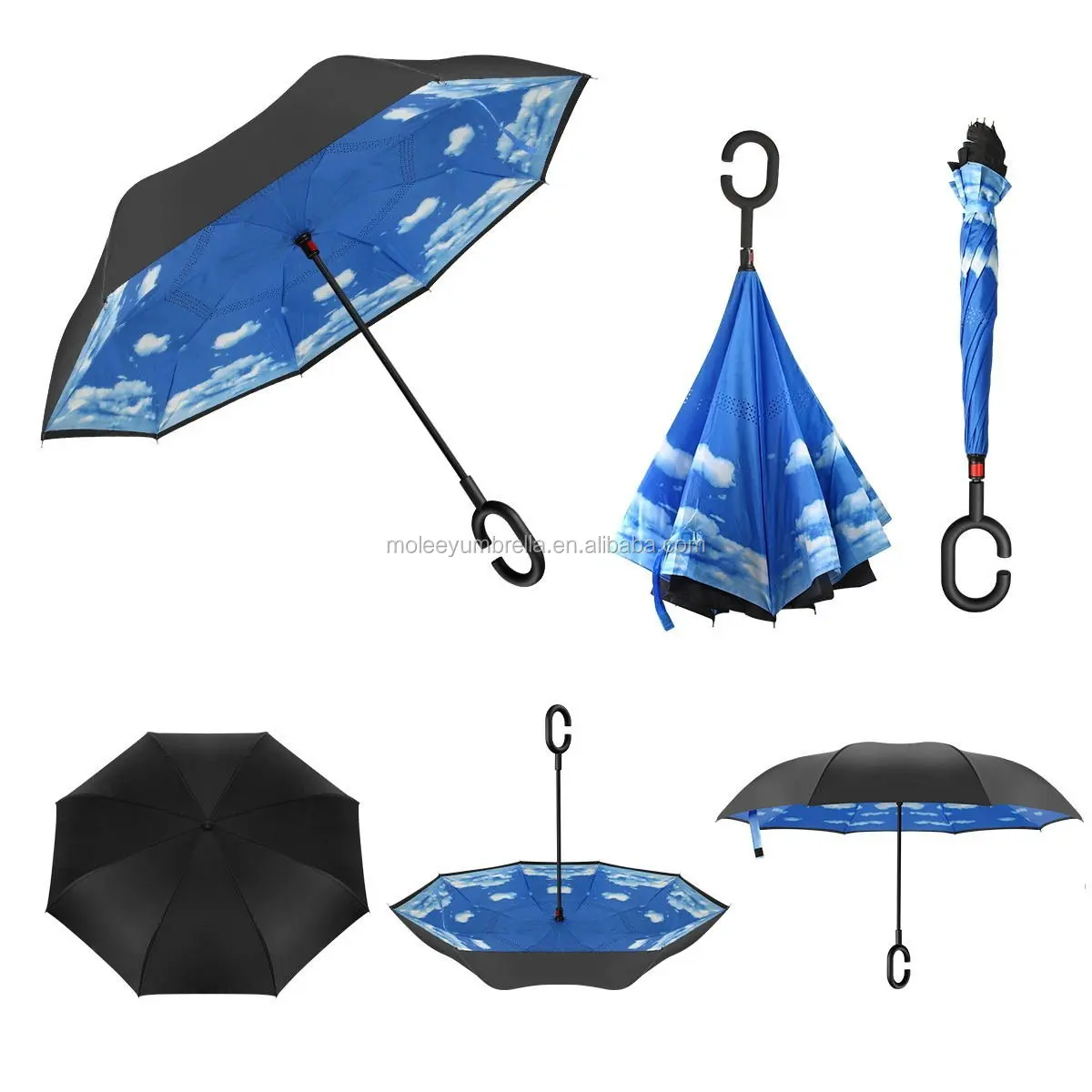 inverted umbrella (6).jpg
