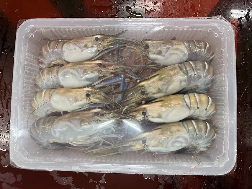 Frozen Raw Fresh Water Prawn High Quality Frozen Seafood Exported Grade ...