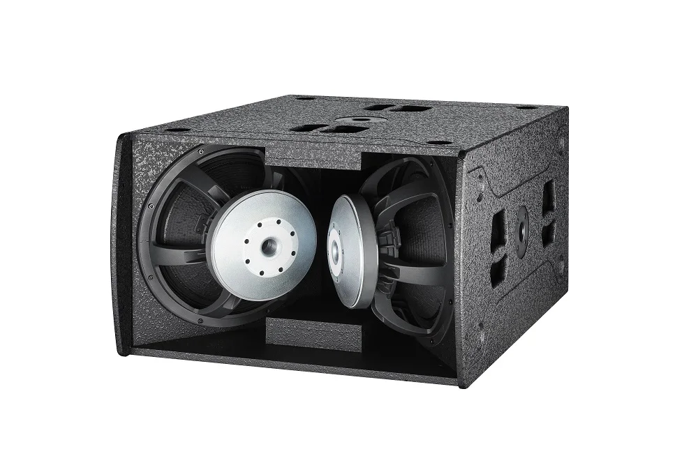 15 dj subwoofer